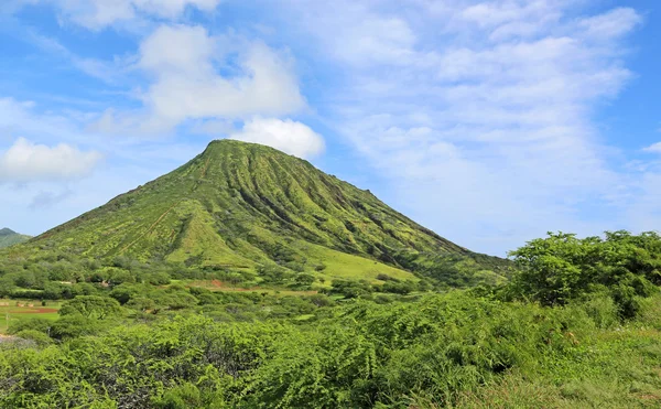 Paesaggio verde con koko crater — Zdjęcie stockowe