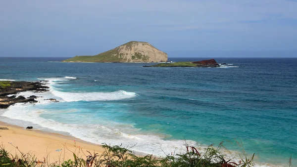 Rabbit Island — Stock Photo, Image