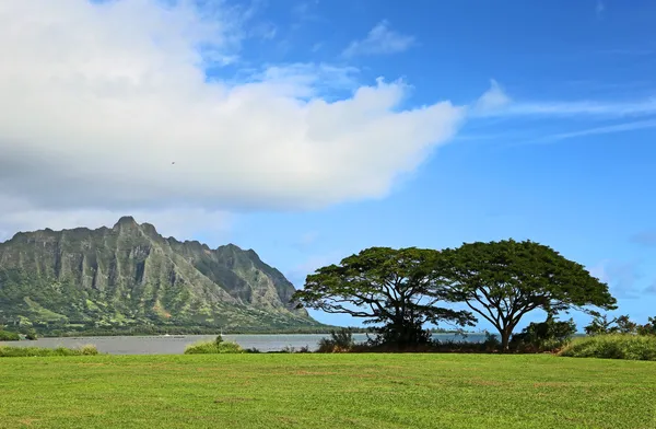 Пляж і парк waiahole — стокове фото