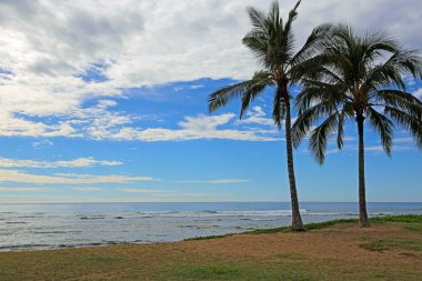 iki maipalaoa beach Park'ta palmiyeler