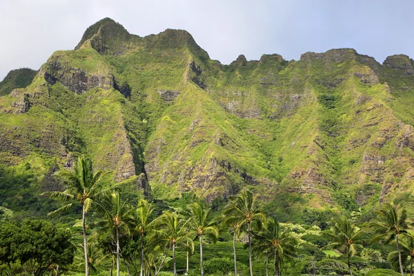 kualoa ranch yeşil uçurum