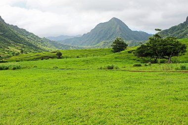 Ka'a'awa Vadisi