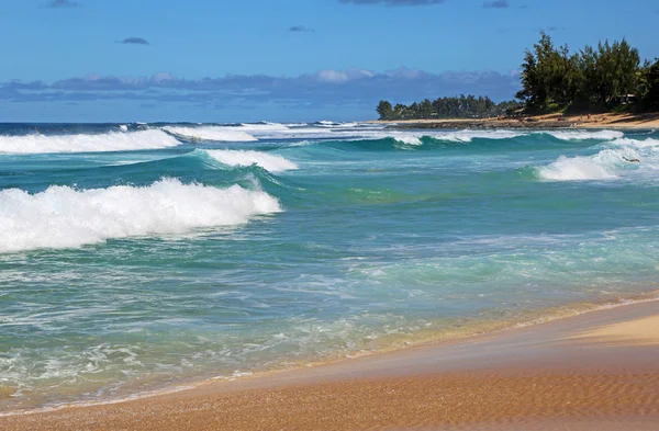 Waimea Bay — Stock Fotó