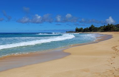Defne Waimea beach