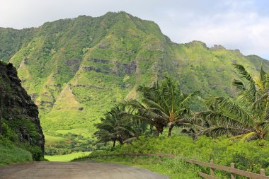 kaaawa valley Road
