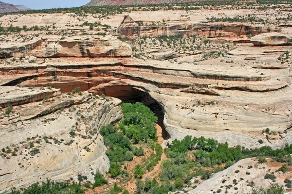 Ponte de kachina — Fotografia de Stock