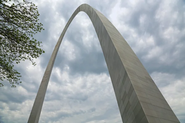 Branches and Gateway Arch — Stock Photo, Image