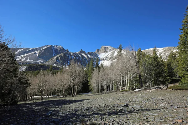 Büyük Havza Ulusal Parkı Manzarası Nevada — Stok fotoğraf