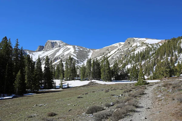 Sendero Alpino Parque Nacional Gran Cuenca Nevada — Foto de Stock