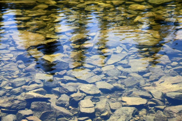 Stein Teresa Lake Great Basin Nevada – stockfoto