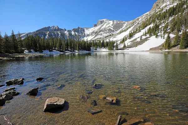 Stella Lake Snake Range Büyük Havza Ulusal Parkı Nevada — Stok fotoğraf