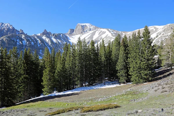 Wheeler Peak Great Basin National Park Nevada — Stockfoto