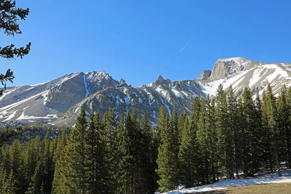 Οροσειρά Φιδιών Great Basin National Park Νεβάδα — Φωτογραφία Αρχείου