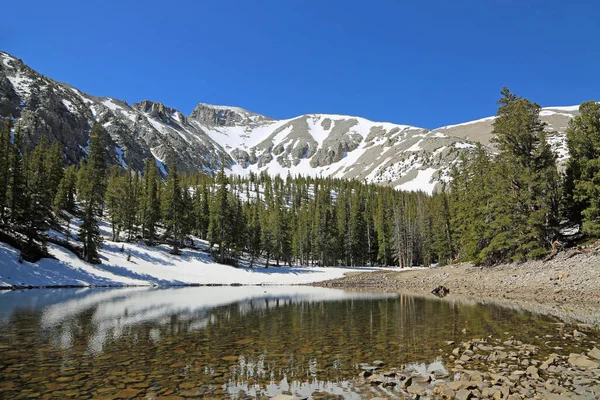 Teresa Lake Panorama Great Basin National Park Nevada — Stockfoto
