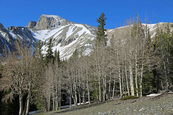 Θέα Στο Wheeler Peak Great Basin National Park Νεβάδα — Φωτογραφία Αρχείου