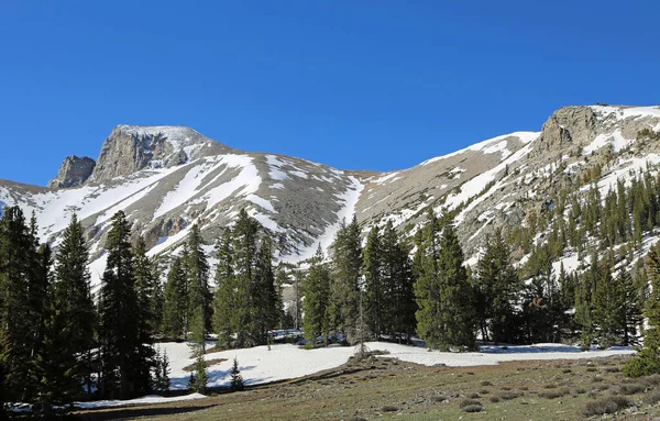 Baharda Büyük Havza Ulusal Parkı Nevada — Stok fotoğraf