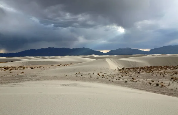 Vit Sand Panorama White Sands National Park New Mexico — Stockfoto
