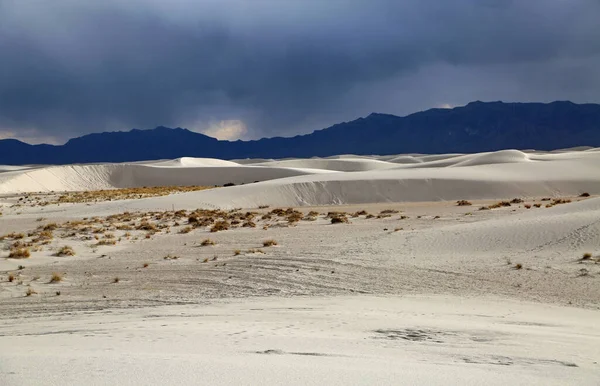Visa Vita Sanddyner White Sands National Park New Mexico — Stockfoto