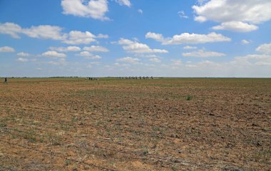 Kuzey Teksas Panoraması - Cadillac Çiftliği, Amarillo, Teksas