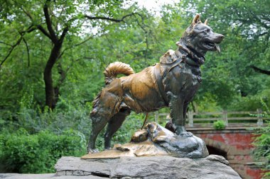 Kızak Köpek Heykeli - Manhattan, New York
