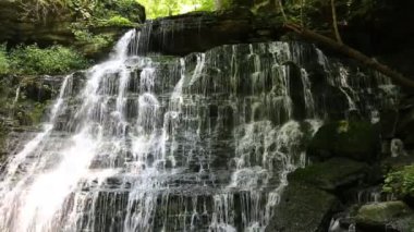 Short Springs Doğal Alanı, Tennessee