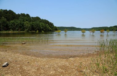 Normandiya Gölü kıyısı - Short Springs Doğal Alanı, Tennessee
