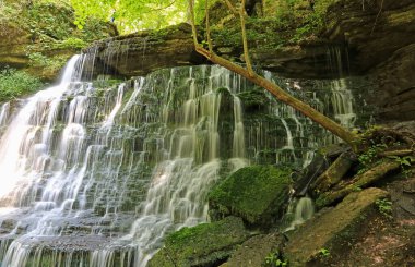 Romantik Makine Şelaleleri - Short Springs Doğal Alanı, Tennessee
