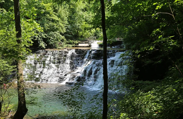 Rutledge Falls Között Fák Rövid Források Természetes Terület Tennessee Stock Kép