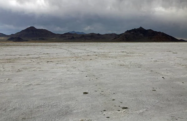 Paesaggio Nel Deserto Del Grande Sale Utah — Foto Stock