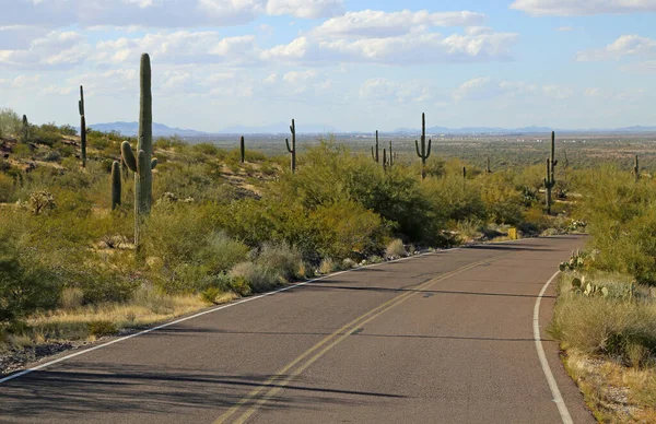 Дорога Государственному Парку Государственный Парк Пикачо Аризона — стоковое фото