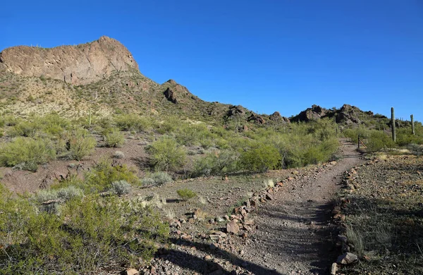 Günbatımı manzaralı patika Picacho Tepesi Eyalet Parkı, Arizona