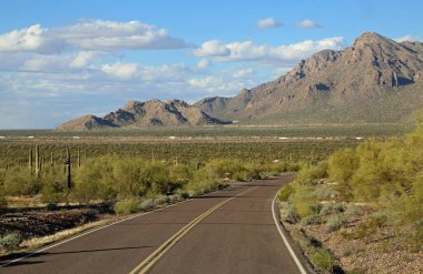 Picacho Park Yolu - Picacho Tepesi Eyalet Parkı, Arizona