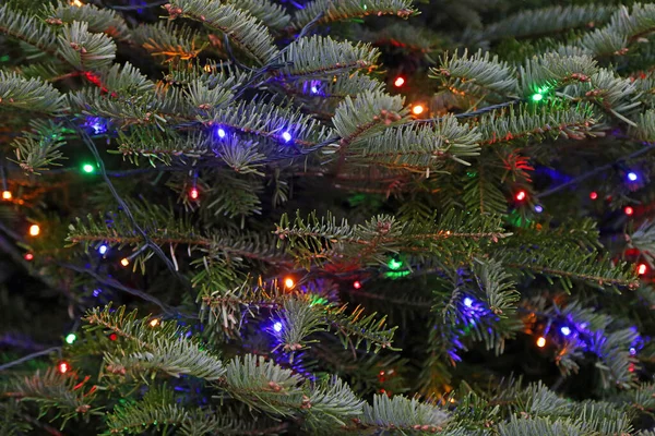 Granträd Med Julgransljus — Stockfoto