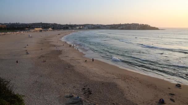 Bondi Beach Sydney Austrália — Vídeo de Stock