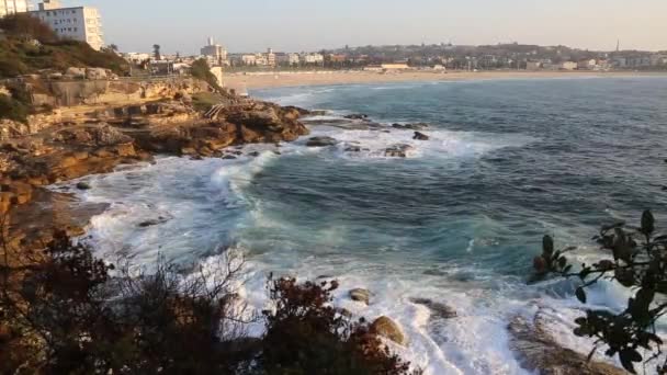 Pobřežní Procházka Bondi Beach Austrálie — Stock video