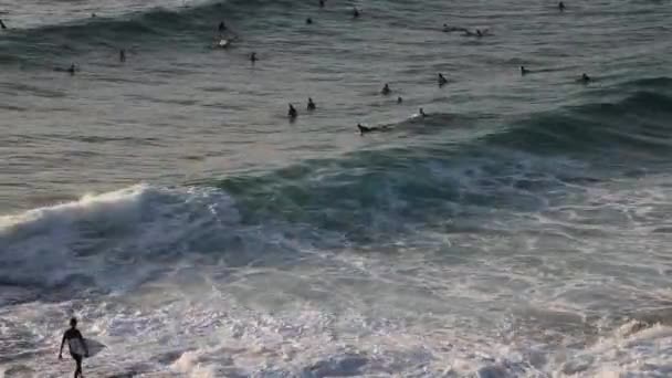 Surfers Wachten Bronte Beach Australië — Stockvideo