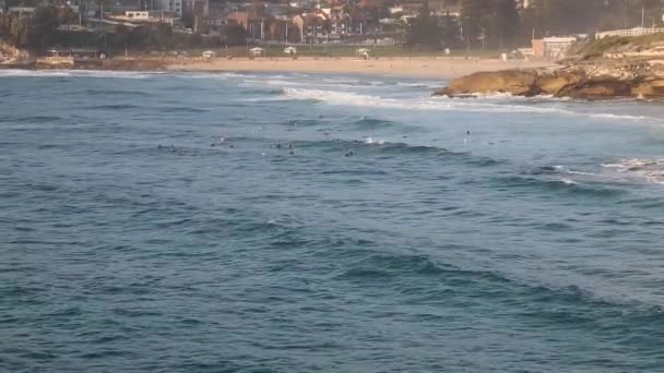 Sörfçüler Bronte Sahili Avustralya — Stok video