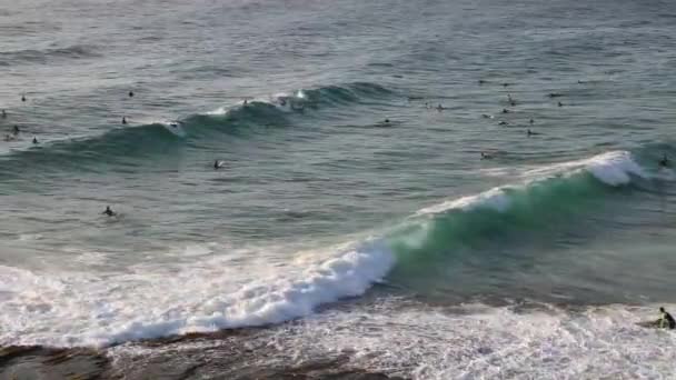 Surfere Bølger Australien – Stock-video