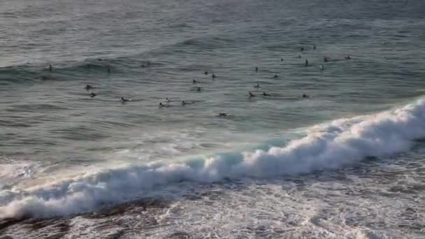 Surfers Nieuw Zuid Wales Australië — Stockvideo