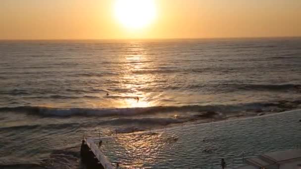 Swimming Sunrise Bondi Australia — стокове відео