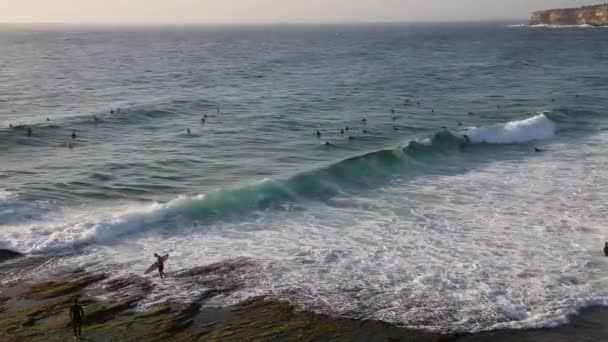 Sörfçüler Uçurumlar Bronte Sahili Avustralya — Stok video