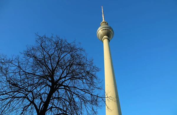 Strom Televizní Věž Berlín Německo — Stock fotografie