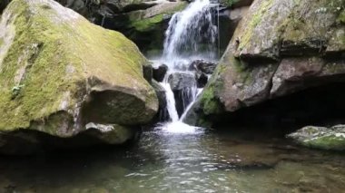 Kayalar ve Aşağı Grotto Şelaleleri - Great Smoky Dağları Ulusal Parkı, Tennessee
