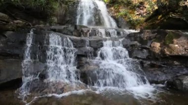 Laurel Falls - Great Smoky Dağları Ulusal Parkı, Tennessee