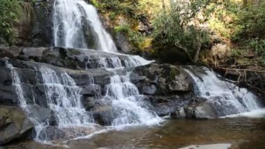 Laurel Falls 'la Sahne - Great Smoky Dağları Ulusal Parkı, Tennessee