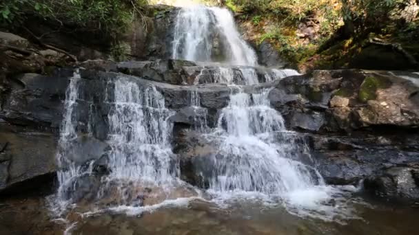 Pohled Laurel Falls Národní Park Great Smoky Mountains Tennessee — Stock video