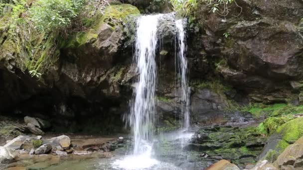 Grotto Falls Národní Park Velké Kouřové Hory Tennessee — Stock video