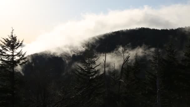 Kouřové Hory Velké Kouřové Hory Tennessee — Stock video