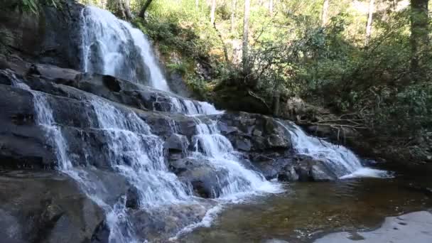 Boční Pohled Laurel Falls Národní Park Great Smoky Mountains Tennessee — Stock video
