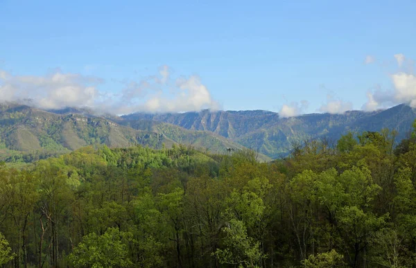 Smoky Mountains Национальный Парк Great Smoky Mountains Теннесси — стоковое фото